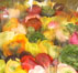 Bild von aktuellen Schnittblumen